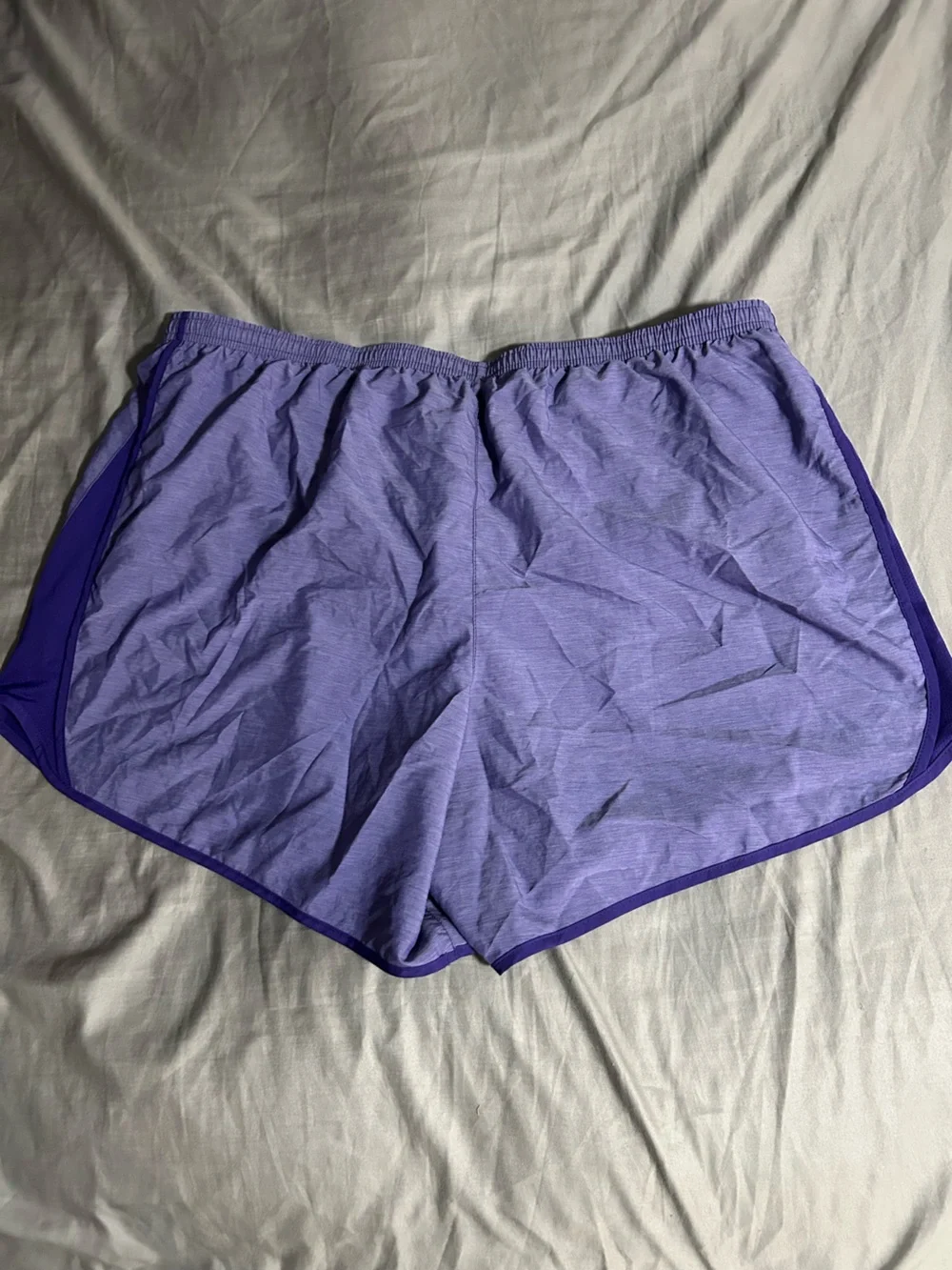 Nike Women's Lavender Athletic Shorts with Dark Trim Size 2X